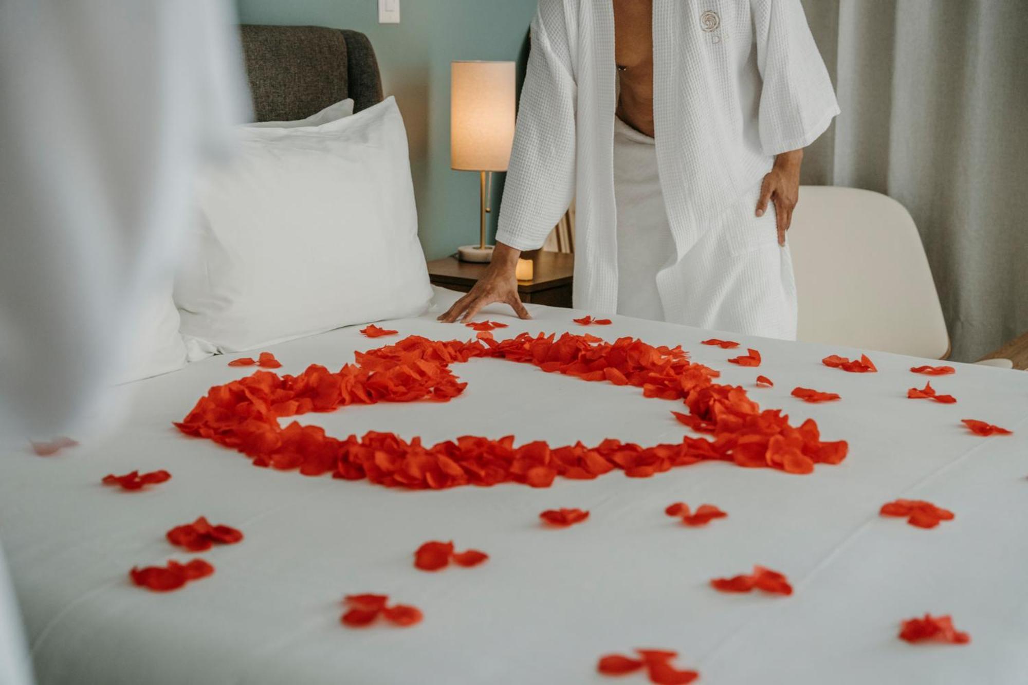 Hotel Vida Cayman Luxury Boutique Eco