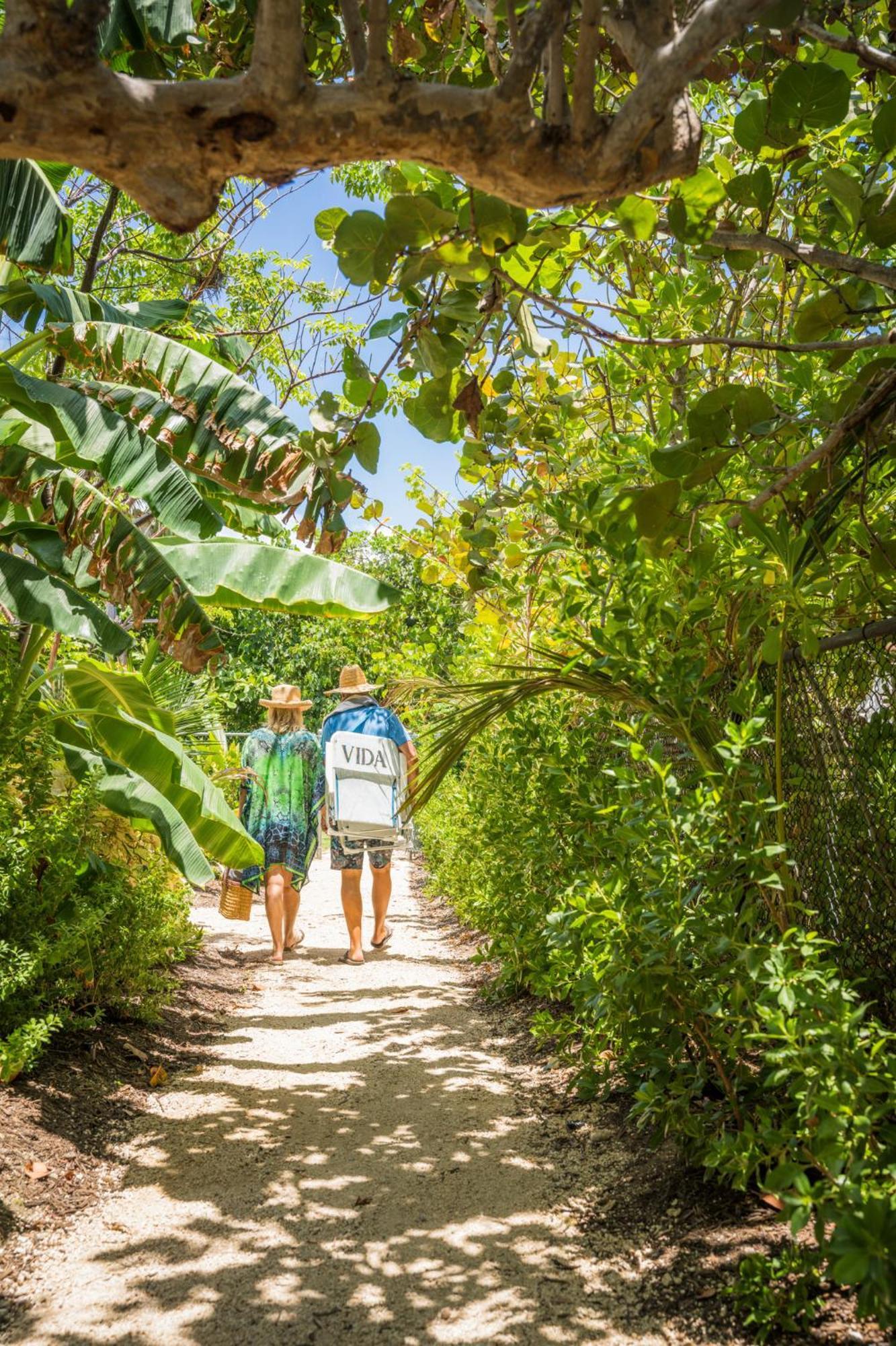 Hotel Vida Cayman Luxury Boutique Eco